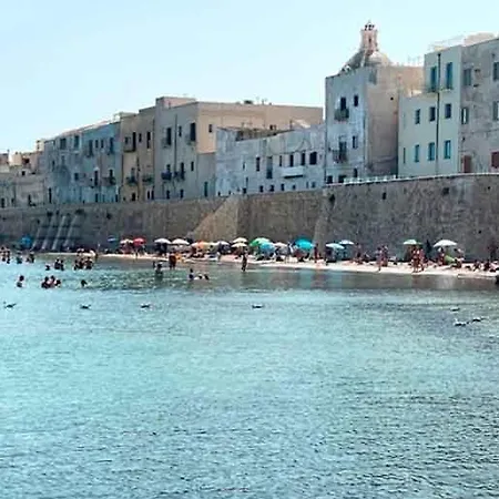 Marefuori